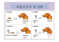 아동발달의 이론_ppt-12