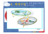 물, 모레 놀이영역-12