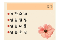 사단법인 정다우리 기관 소개-2