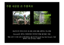 해양스포츠 크루즈-17
