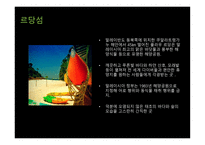해양스포츠 크루즈-19