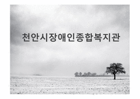 실습 발표 천안시 장애인 종합복지관-1