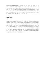 영화 디스트릭트 감상문-2