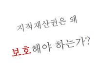지적재산권이란, 지적재산권보호-5