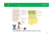 DMZ과 접경지대 레포트-5