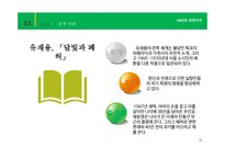 DMZ과 접경지대 레포트-17