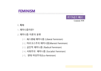 페미니즘이란, 페미니즘 이론의 분석-2