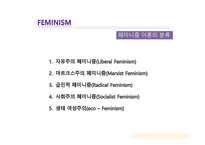 페미니즘이란, 페미니즘 이론의 분석-4