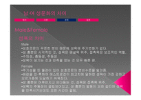 여성학 - 남녀 성문화의 차이-8