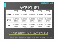 유기견안락사의 어두움-4