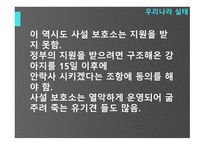 유기견안락사의 어두움-5