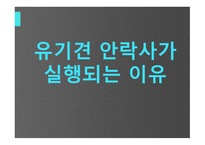 유기견안락사의 어두움-6