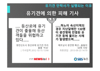 유기견안락사의 어두움-7