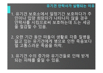유기견안락사의 어두움-8