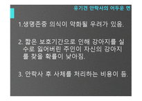 유기견안락사의 어두움-11