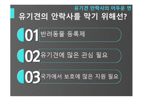 유기견안락사의 어두움-12