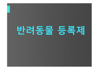 유기견안락사의 어두움-13