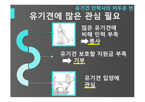 유기견안락사의 어두움-20