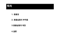 동물권이란, 동물실험의 부작용, 동물실험 대안…-2