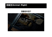 동물권이란, 동물실험의 부작용, 동물실험 대안…-3