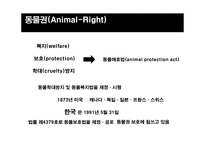 동물권이란, 동물실험의 부작용, 동물실험 대안…-4
