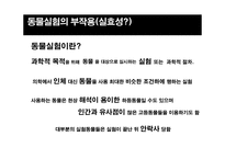 동물권이란, 동물실험의 부작용, 동물실험 대안…-5