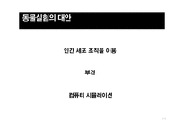 동물권이란, 동물실험의 부작용, 동물실험 대안…-7