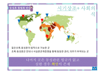 동성결혼합법화 반대-5
