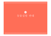 동물실험반대 레포트-1