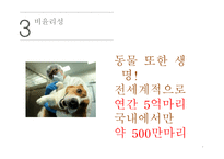 동물실험반대 레포트-4