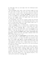 [쿰란 문서 연구] 사해사본의 진실에 대한 토의 자료-3