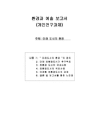 환경과 예술 보고서 - 미래 도시의 환경-1