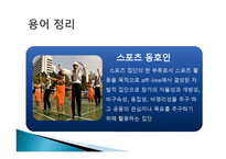 스포츠동호인 조직 현황-3