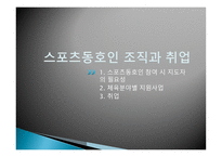 스포츠동호인 조직 현황-13