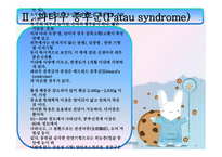 에드워드 파타우 PPT 정의, 원인-9