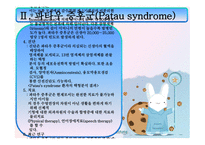 에드워드 파타우 PPT 정의, 원인-10