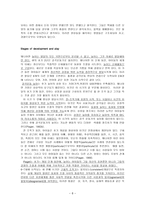 원서번역 과제 -13장 Conclusion - Integrating Play, Development, and Practice-8