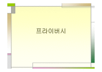 프라이버시 개념, 침해의 종류-1
