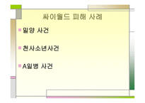프라이버시 개념, 침해의 종류-13