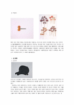 [한국복식사] 조선시대 장신구-2