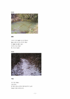 [한국현대문학] 디카시와 하이퍼픽션-5