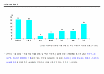 [광고기획론] 리바이스 레이디 진 광고기획서-5