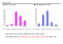 [광고기획론] 리바이스 레이디 진 광고기획서-6