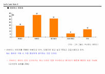 [광고기획론] 리바이스 레이디 진 광고기획서-9