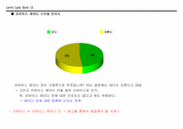 [광고기획론] 리바이스 레이디 진 광고기획서-12