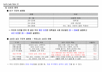 [광고기획론] 리바이스 레이디 진 광고기획서-13