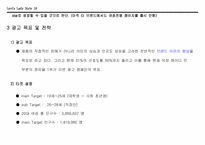 [광고기획론] 리바이스 레이디 진 광고기획서-18