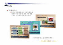 [디지털미디어] 디지털멀티미디어방송(DMB)-20