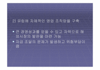 [국제경영] ‘데이터클리어’ 해외진출전략-7