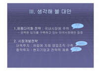 [국제경영] ‘데이터클리어’ 해외진출전략-11